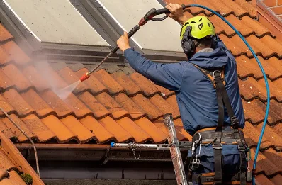 Démoussage et hydrofuge de toiture à Lucenay